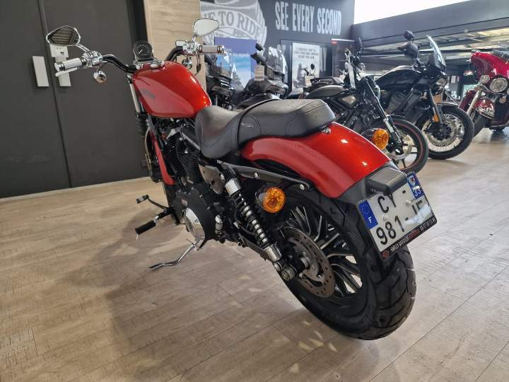 moto Harley occasion SPORTSTER IRON 883 N 
