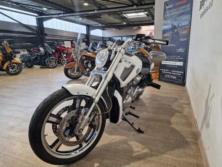 moto Harley occasion V-ROD MUSCLE 1250