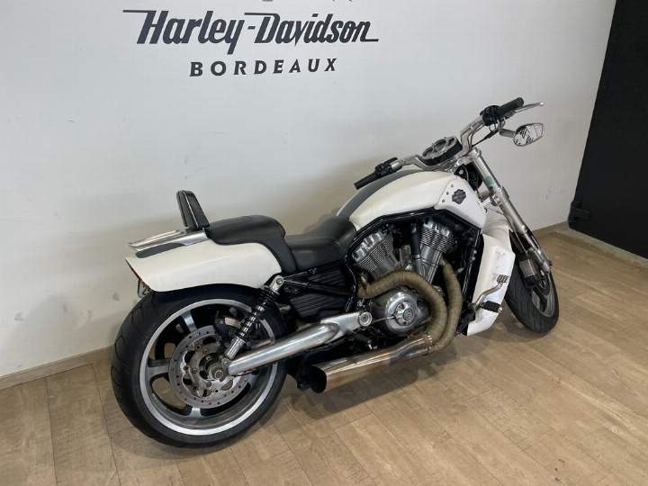 moto Harley occasion V-ROD MUSCLE 1250
